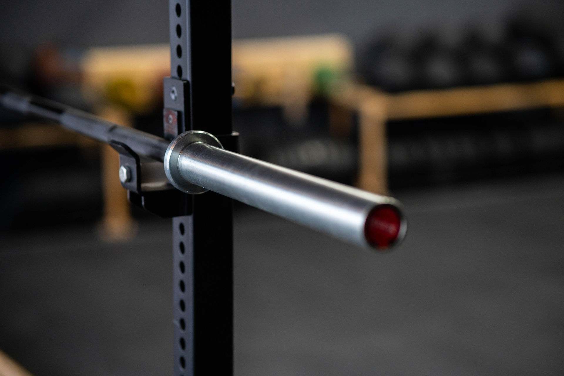 Sqmize-Langhantel-Part-2-7558JclzseQOqrx Black Bison Powerbar - 20kg Powerlifting SQMIZE® POWER PACK OB86PLm-KDK