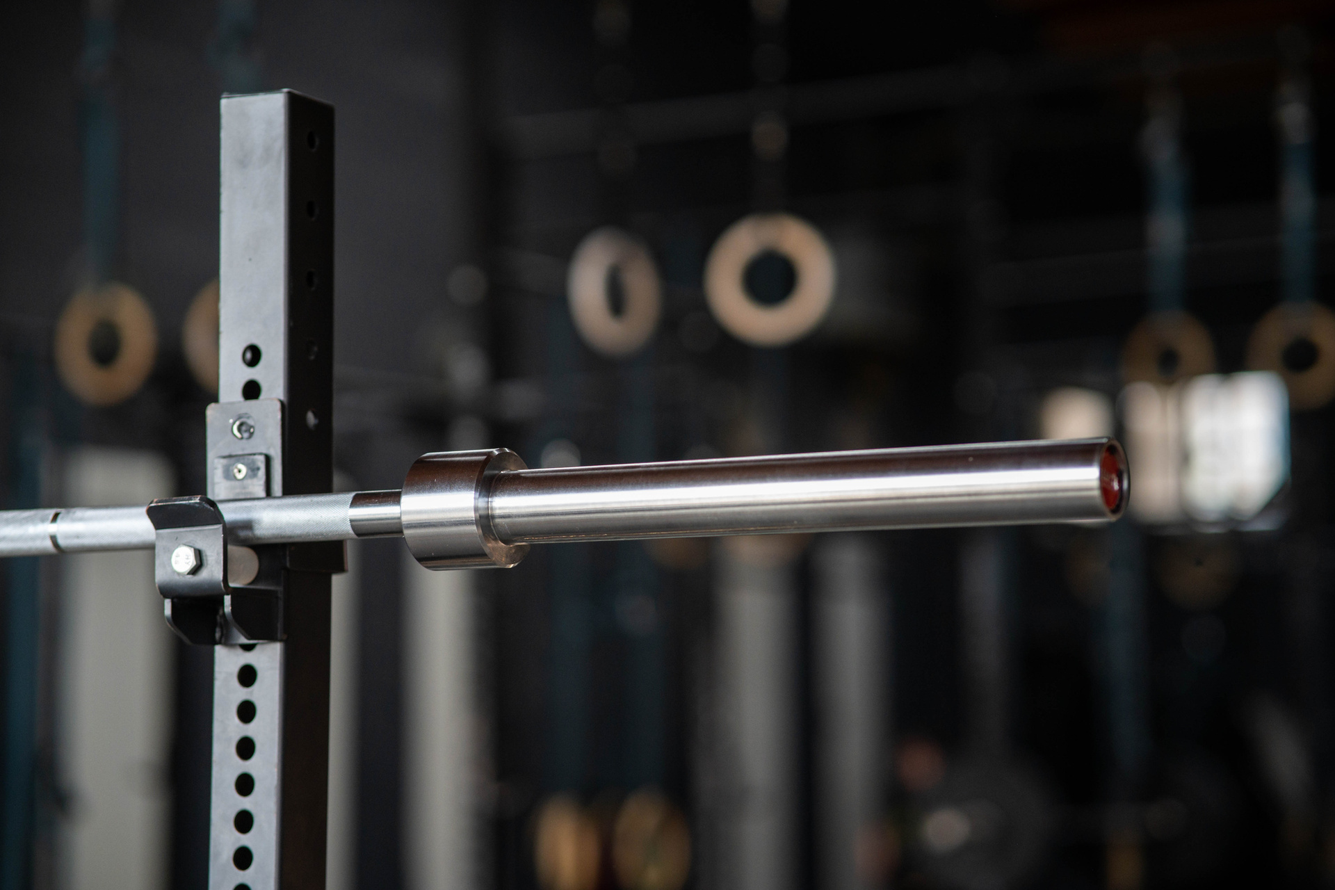 Sqmize-pt2-91 German Squat Langhantel SQMIZE® PREMIUM BISON OB94PL-SB, 32 mm