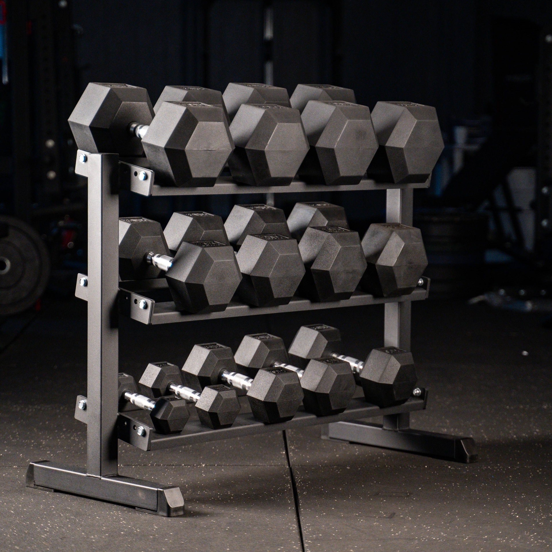 Sqmze-Part-1-135-1 Hex Dumbbell Set mit Kurzhantelständer SQMIZE® SQ220-R315