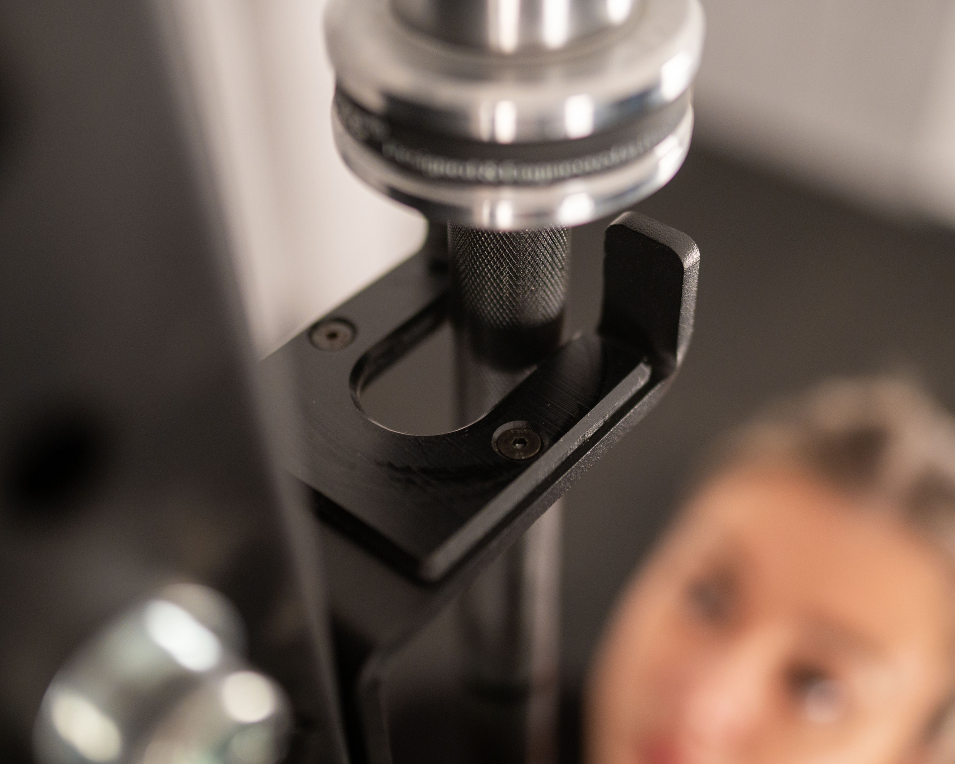 Bison-386GFqKk0iDUWfn