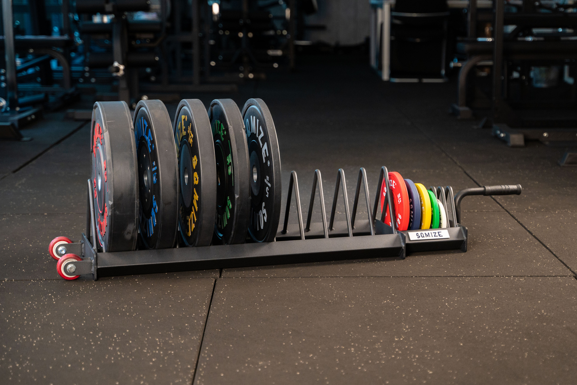 Part-2-42 Profi Bumper Plate Ständer SQMIZE® BPR120