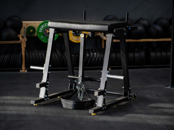 Reverse Hyper SQMIZE® RH1200 Gym Series